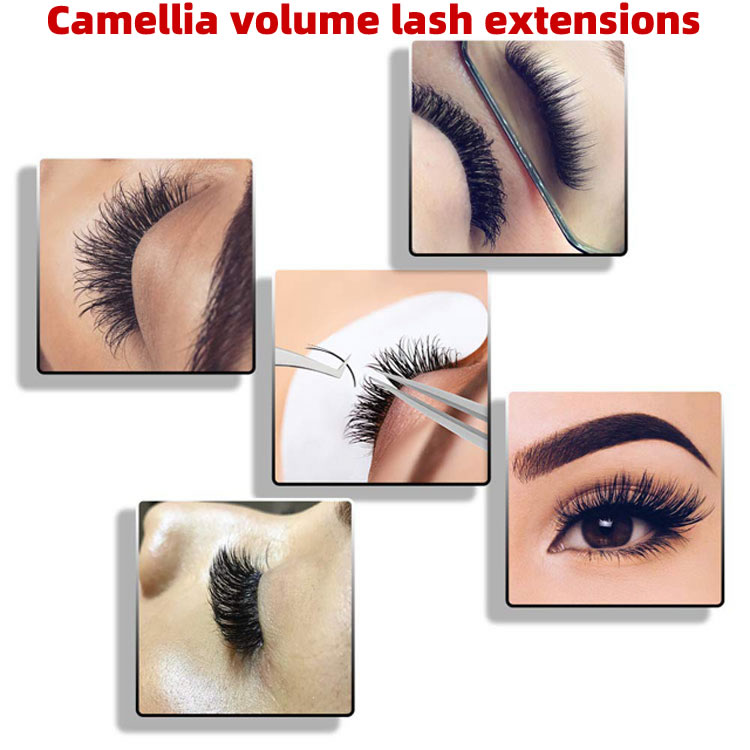 What Are Camellia Volume Lash Extensions